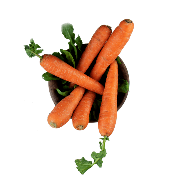 2e71aa00 carrot 2.png