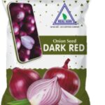 REAL ONION DARK