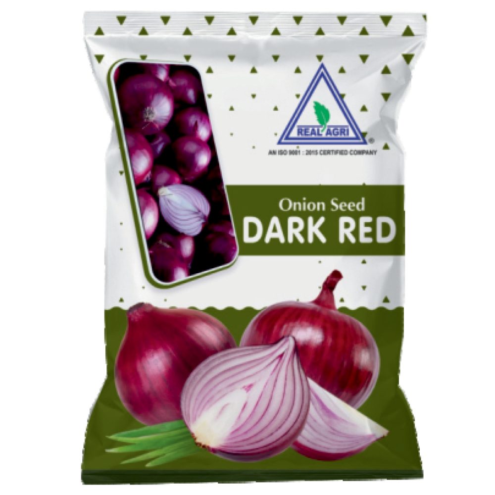 Real Onion Dark Red