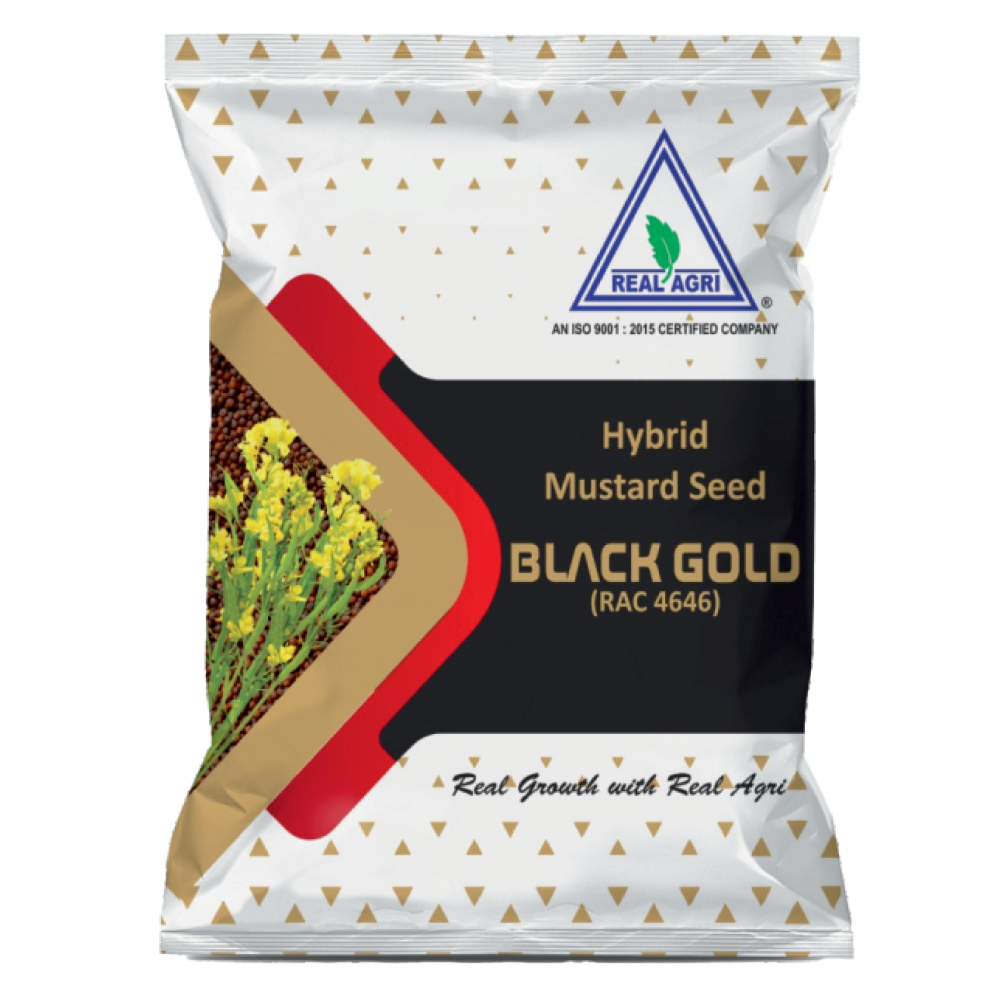 Real Black Gold (Hybrid)