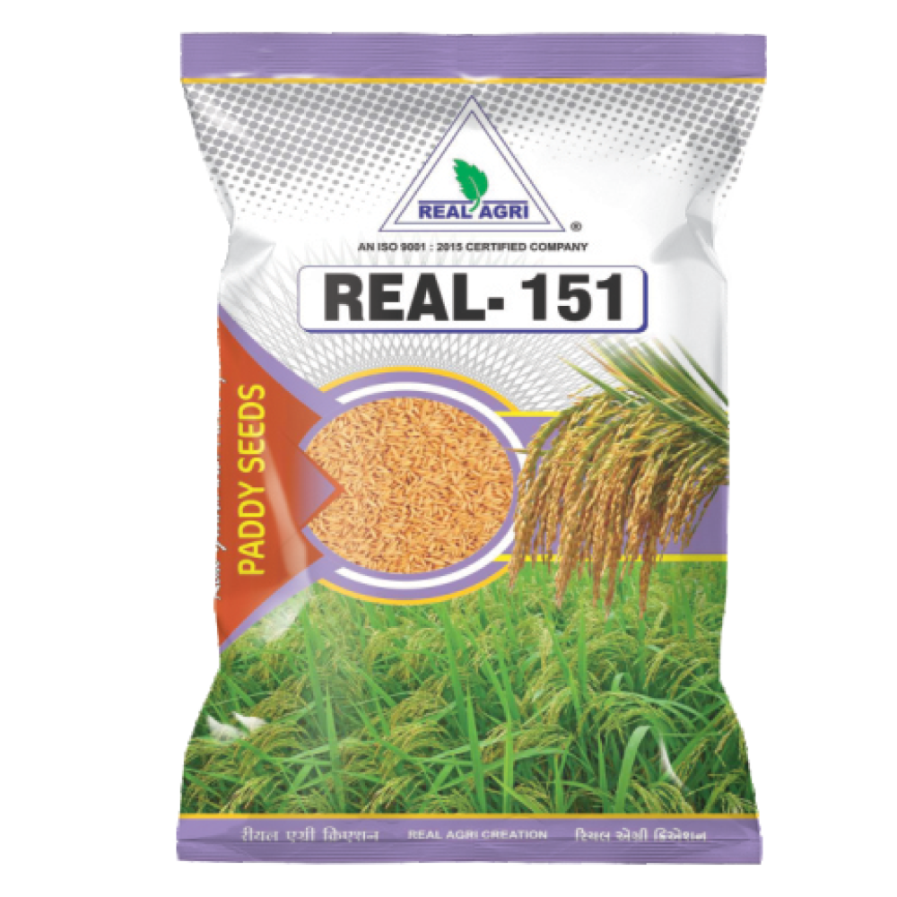 Real - 151