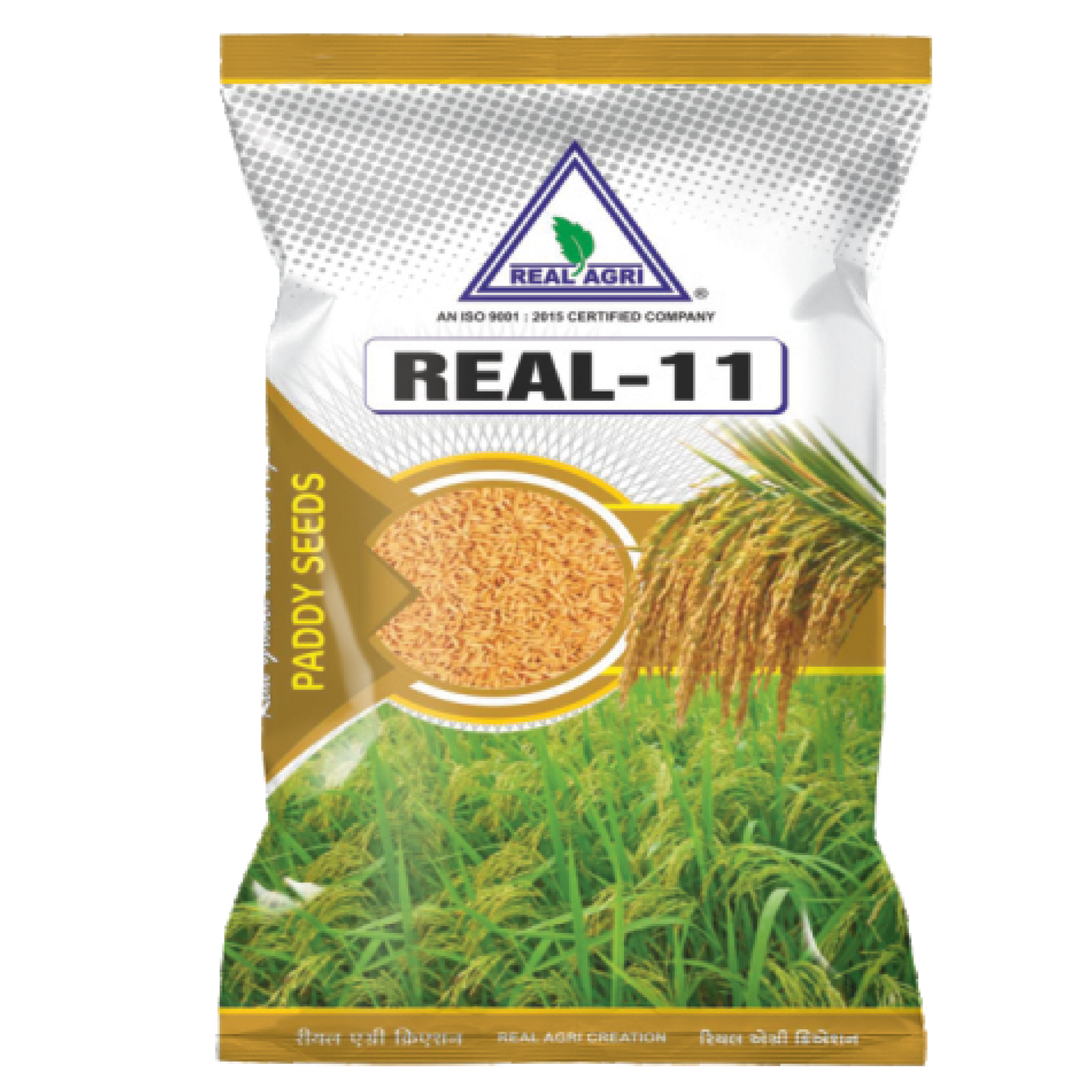 Real - 11