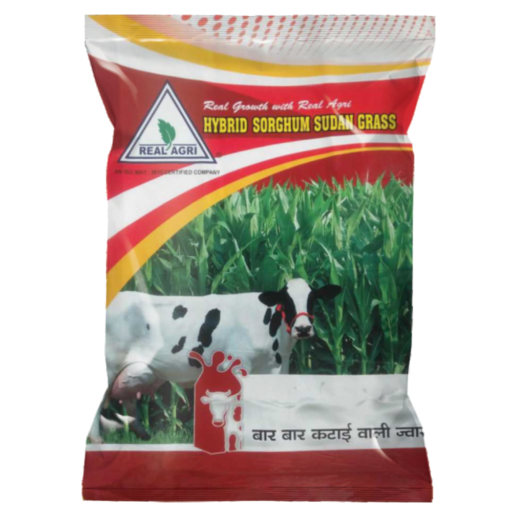 Real SSG - 10 (White)