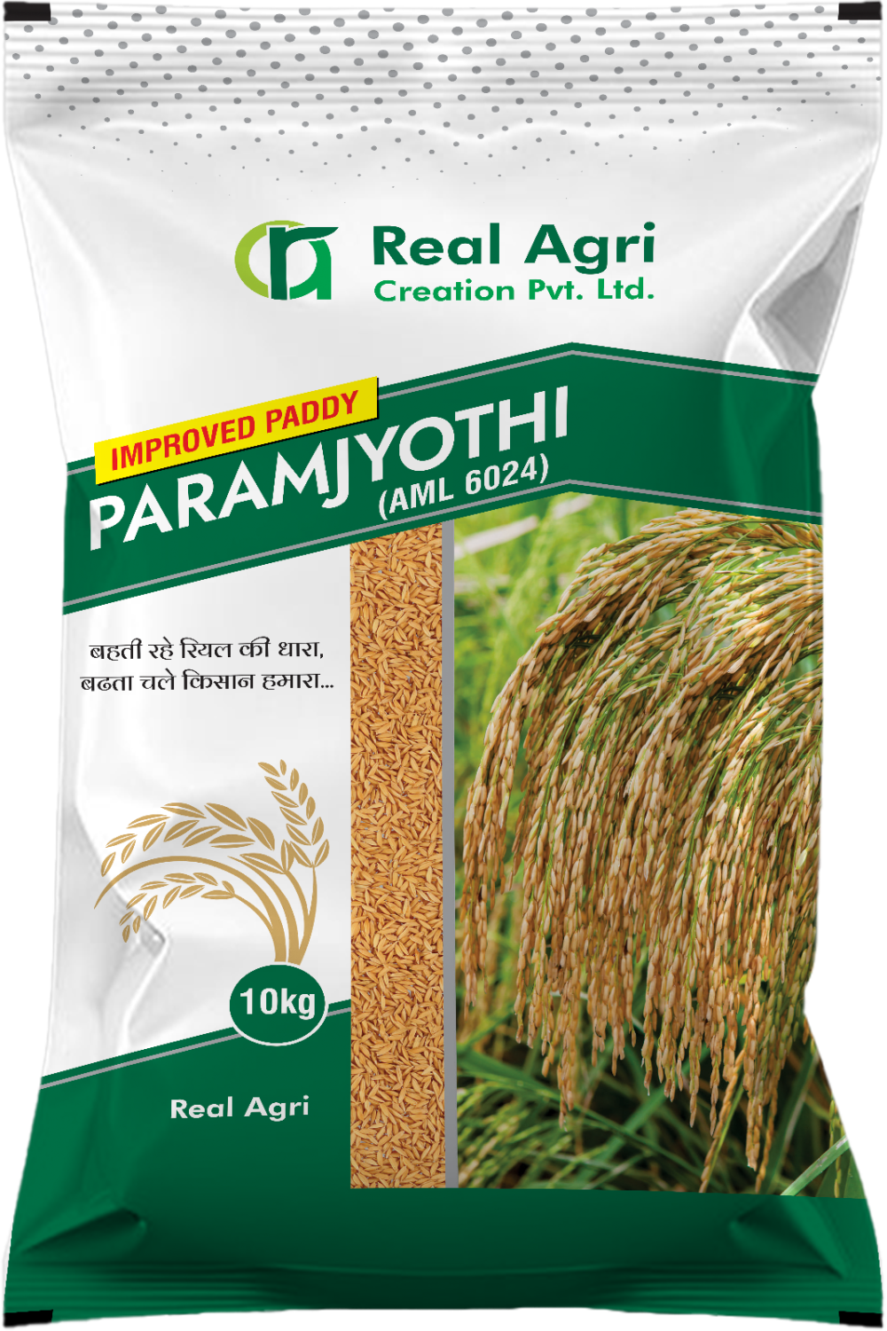 Paramjyoti (AML 3015)