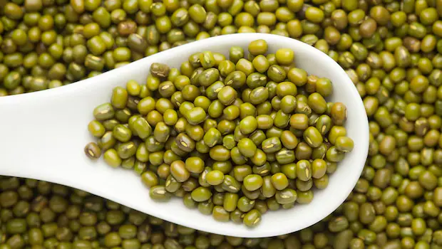 Real S333 Moong seed